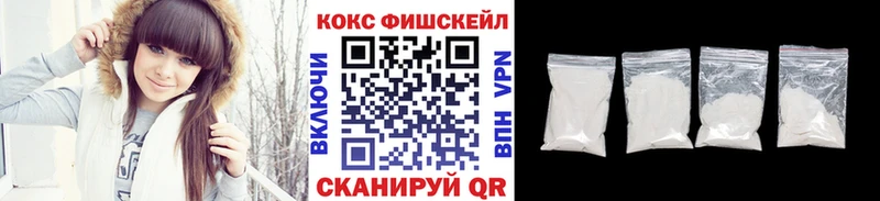 Купить закладки  Козловка  КОКАИН FishScale 